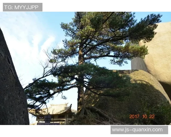 带松字的足球明星们如何在绿茵场上展现非凡才华与魅力